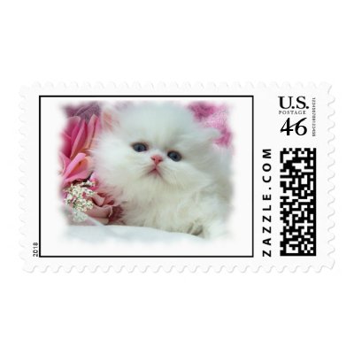 White Persian Postage by kokobaby