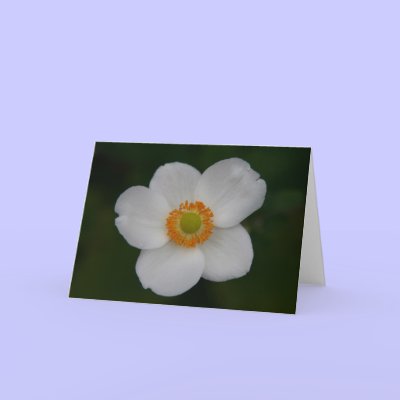 white petals greeting cards by cardart