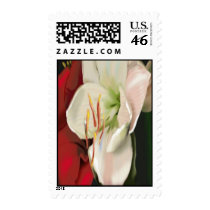 WHITE PETALS postage