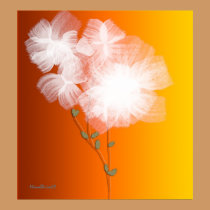 White Petals posters