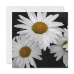 White Petals Square Card Custom Invitations