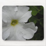 White Petunia Flower Mousepads