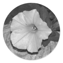 White Petunia stickers by princessklb07 White Petunia stickers