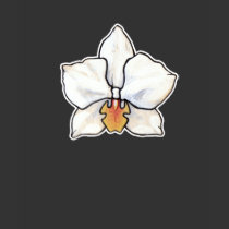 White phalaenopsis orchid shirt