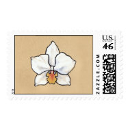 White phalaenopsis orchid stamp stamp