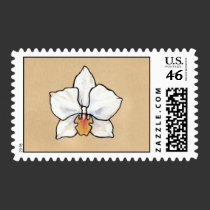 White phalaenopsis orchid stamp stamps