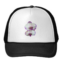 White Phalaenopsis Orchids With Pruple Edges hats