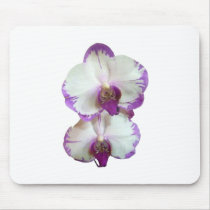 White Phalaenopsis Orchids With Pruple Edges mousepads