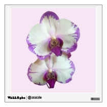 White Phalaenopsis Orchids With Pruple Edges wall decals
