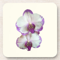 White Phalaenopsis Orchids With Purple Edges cork coasters