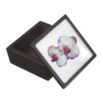 White Phalaenopsis Orchids With Purple Edges premium gift boxes