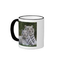White phase, Bengal Tiger, Tigris Coffee Mug
