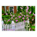 White Picket Fence posters
