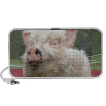 White Pig Photo Doodle Speaker