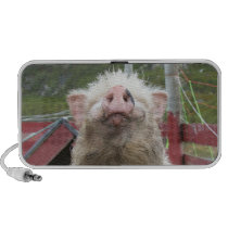 White Pig Photo Doodle Speaker