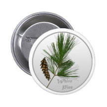 White Pine Tree