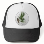 White Pine Tree