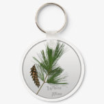 White Pine Tree