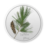 White Pine Tree