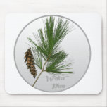 White Pine Tree
