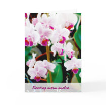 White & Pink Orchids Greeting Card