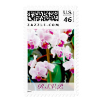 White & Pink Orchids Postage