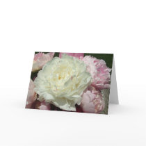 White Pink Peonies Blank Inside Greeting Card