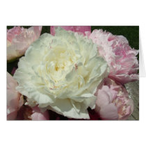 White Pink Peonies / Pink Peony Note Cards cards