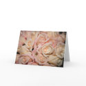 white pink rose cards