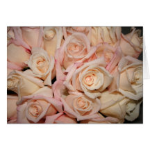 white pink rose greeting cards