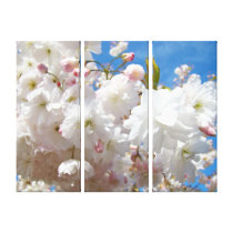 White Pink Spring Blossom Tree Flowers Canvas Gallery Wrap Canvas