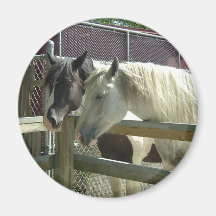 White/Pinto Horse Refrigerator Magnet