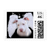 White Pit Bull Dog Angel Postage Stamps