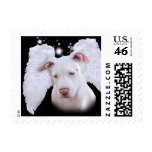 White Pit Bull Dog Angel postage
