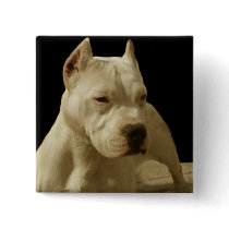 White pitbull pinback buttons