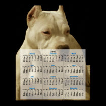 White Pitbull dog 2012 calendar poster posters