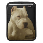 White Pitbull iPad Sleeve