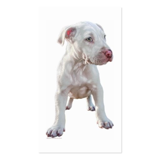 White Pitbull Puppy Business Cards (back side)