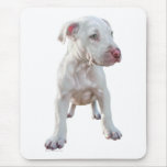 White Pitbull Puppy Mousepads