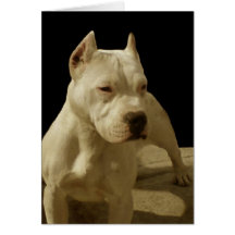 White Pitbull Terrier Greeting Card