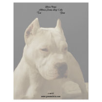 White Pitbull Terrier Letterhead Template