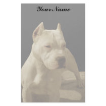 White Pitbull Terrier Stationery