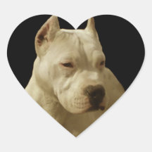 White Pitbull Terrier Sticker
