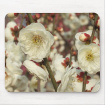 White Plum Blossom - no script mousepads