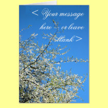 WHITE PLUM BLOSSOMS (CUSTOM) cards