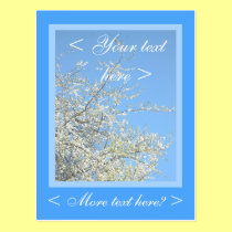 WHITE PLUM BLOSSOMS postcards