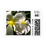 White Plumaria Save the Date Small Wedding Stamps stamp