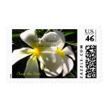 White Plumaria Save the Date Wedding Stamps