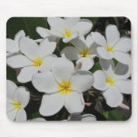 White Plumeria on Black Mousepad