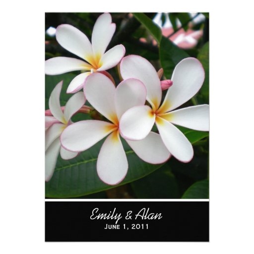 White Plumeria Wedding Invitations